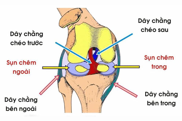 Hình ảnh tin tức Trung tâm Y tế thành phố Yên Bái tổ chức tập huấn phòng chống dịch bệnh Covid – 19 cho cán bộ, nhân viên Y tế.