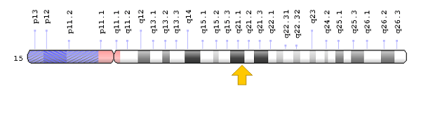 Thăm và chúc mừng nhân ngày Thầy thuốc Viêt Nam