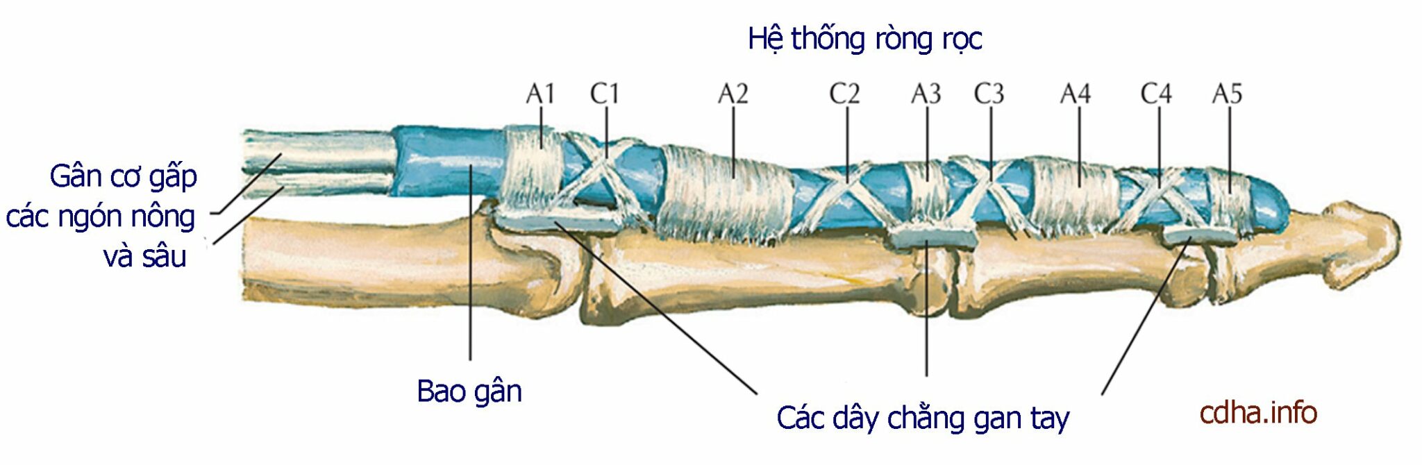 Công đoàn Trung tâm Y tế thành phố Yên Bái tổ chức ngày 1-6 cho các cháu thiếu nhi