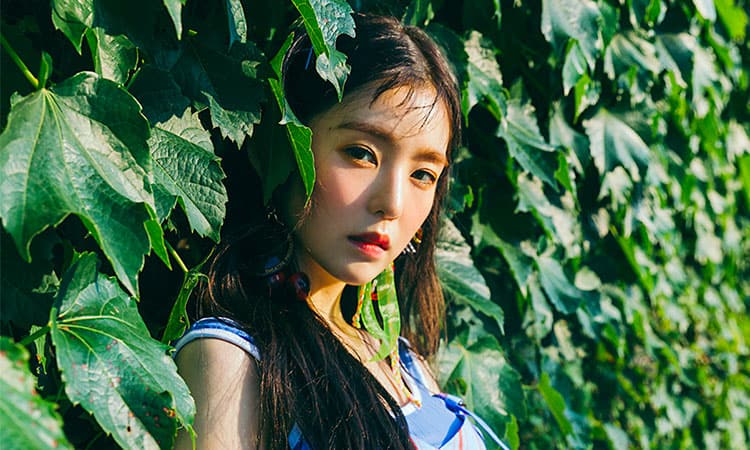 Hình ảnh tin tức Không có loăng quăng, không có bệnh sốt xuất huyết