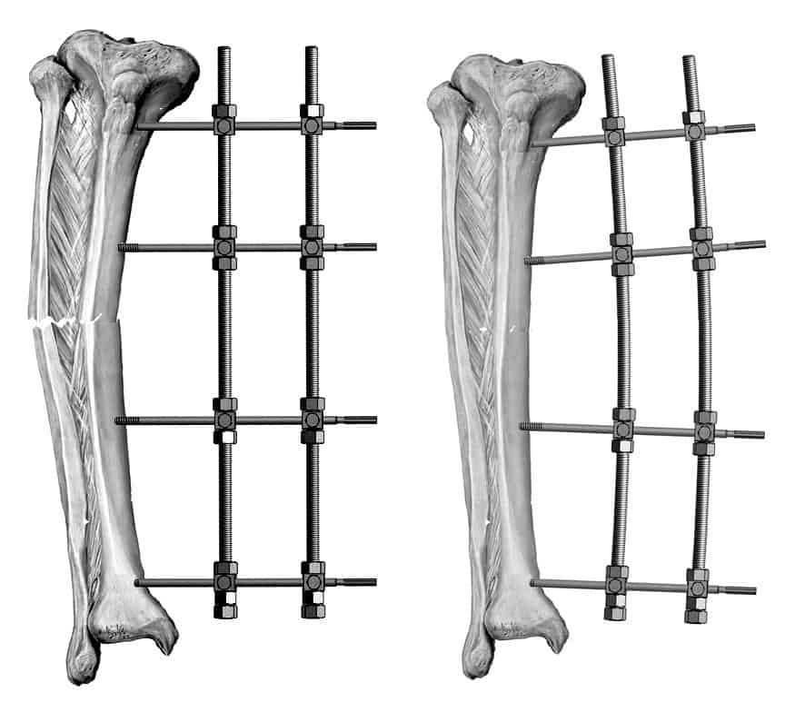 Hưởng ứng Tuần lễ Dinh dưỡng và Phát triển (16 - 23/10): Dinh dưỡng đầy đủ và hợp lý để nâng cao sức khoẻ, góp phần chiến thắng đại dịch COVID-19